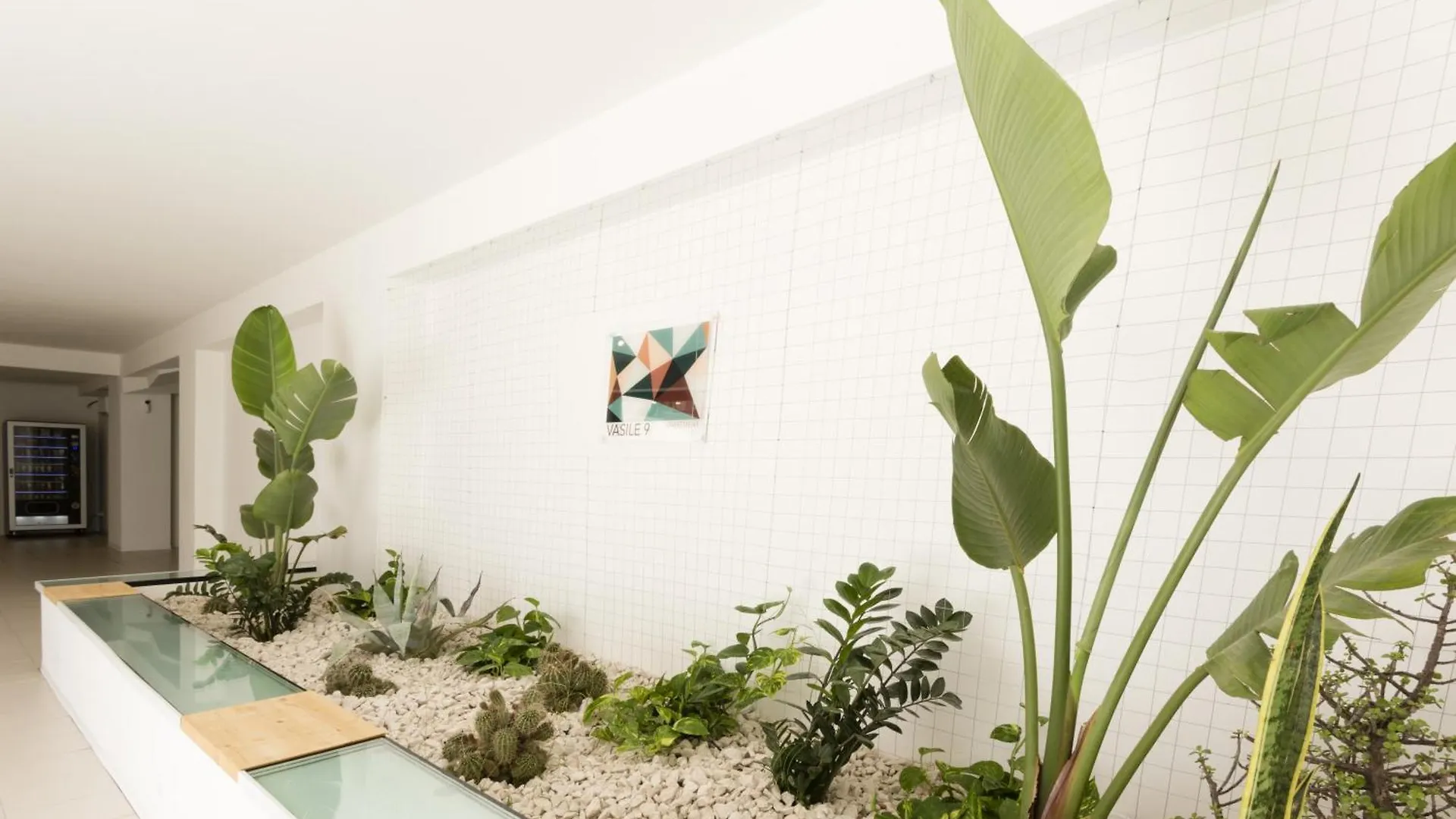 Visitsicilia Vasile 9 Apartment Castellammare del Golfo